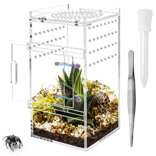 Jumping Spider Enclosure