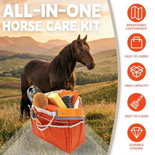 Horse Grooming Kit (Orange)