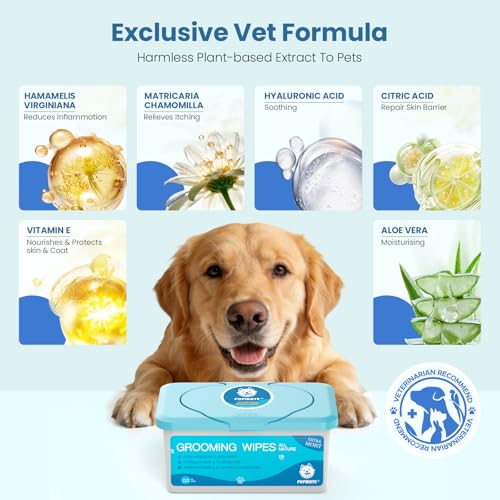 Pet Wipes for Dogs & Cats (1 Box-100 Count)