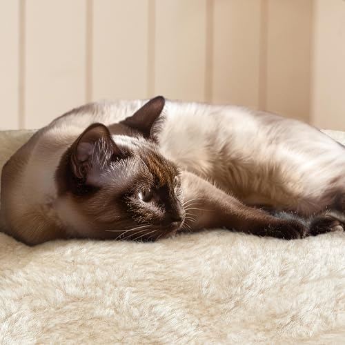 76.5in Multi Level Large Cat Tree (76.5in / Beige)