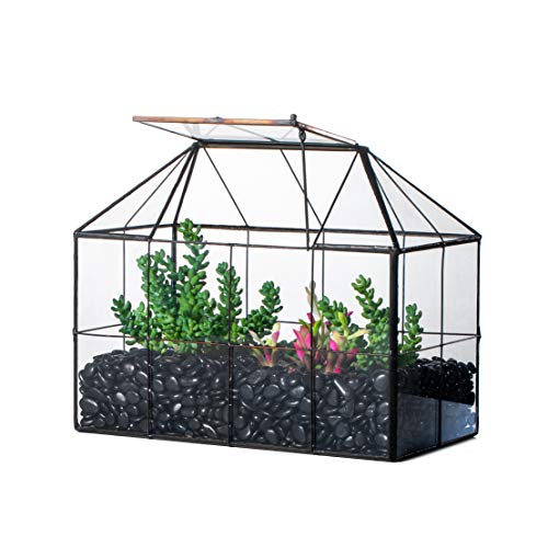Glass Terrarium Planter with Lid for Small Succulent Plants
