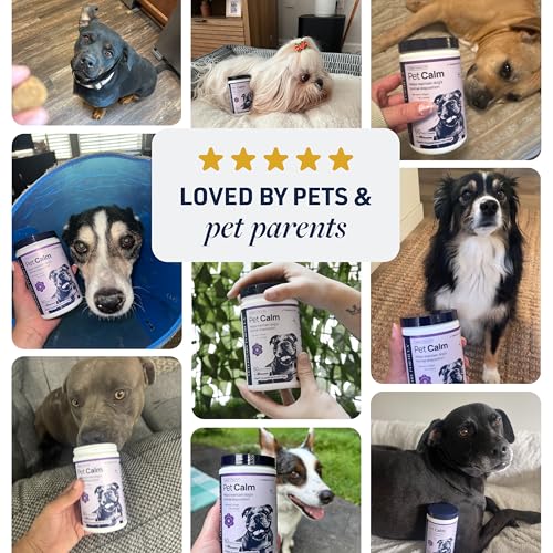 Smart Vitality Pet Calm Soft Chews for Dogs (60 ct / Pet Calm)