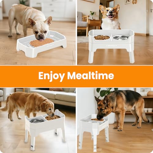Elevated Dog Bowls (Light Grey / Large)