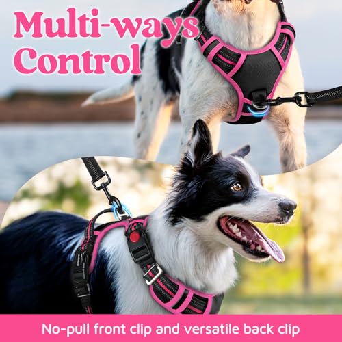 Dog Harness Small Sized (Black & Pink / Small)