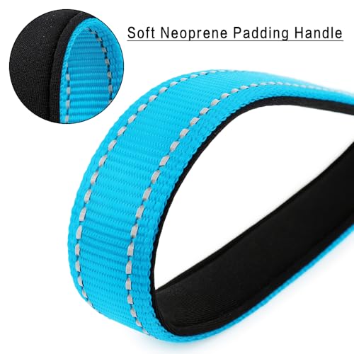 10” Short Dog Leash (Blue / 10 Inch (Pack of 1))
