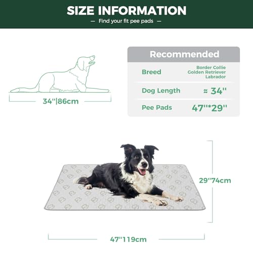 Washable Pee Pads for Dogs (Khaki / 29" x 47" (2 Packs))