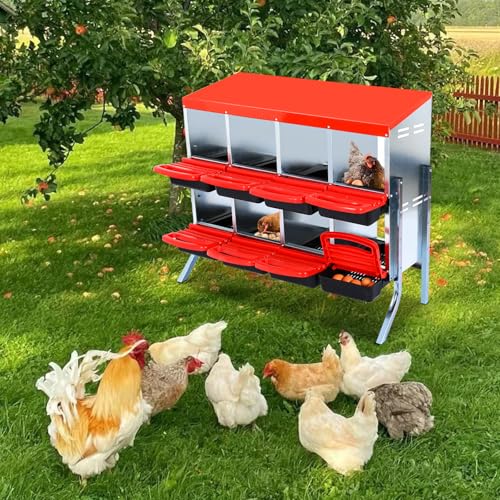 Chicken Nesting Box (Red- 8 compartment with legs)