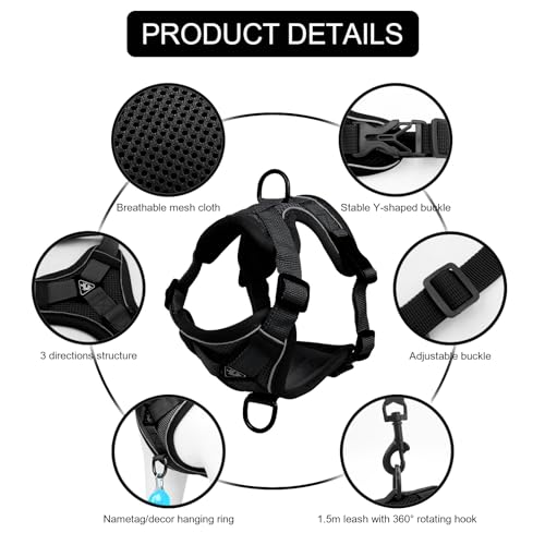 Cat Harness and Leash Set