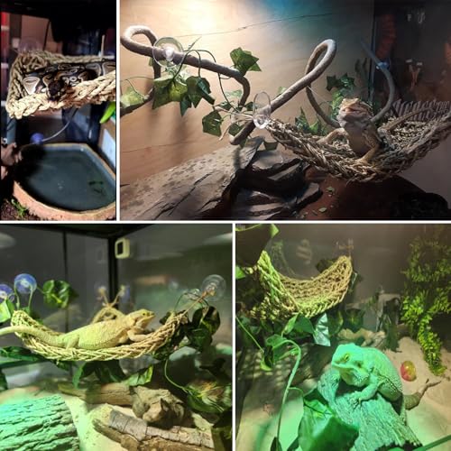 Bearded Dragon Hammock