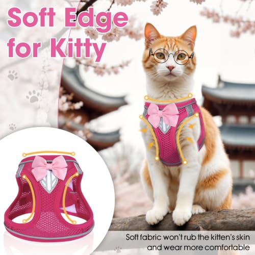Cat Vest Harness and Leash Set (Pink / S)