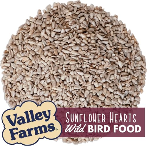 Whole Sunflower Hearts for Birds 4 LB 2 (4 Pound (Pack of 2))