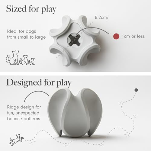 Treat Dispensing Dog Toy