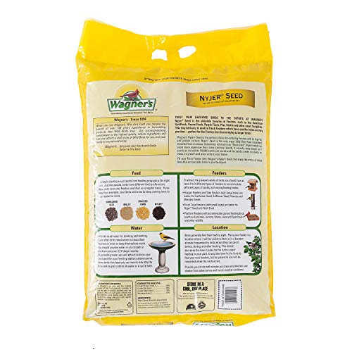 62053 Nyjer Seed Wild Bird Food
