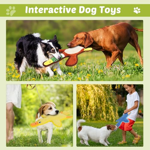 Dog Toys 3 Pack Cute Duck Shapes Puppy Toys No (Multicolor)