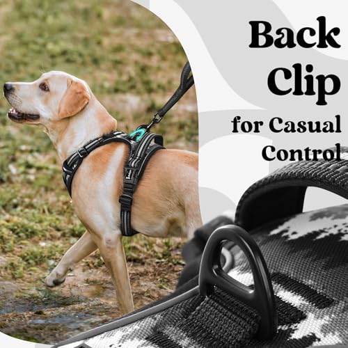 Dog Harness Medium Sized (Mountain Black / Medium)