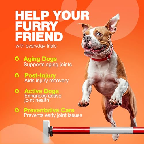 Hip & Joint Chews for Dogs (180 count / Hip & Joint Chews)