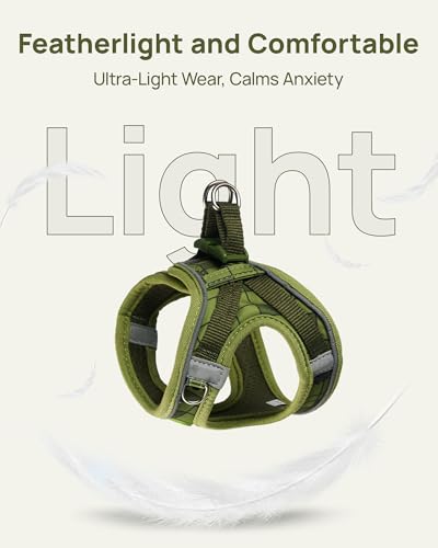 Upgraded Cat Harness and Leash Set (Green Growling Crocodile / XS)