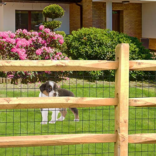 Black PVC Coated Welded Wire Fence 24" x 25' Roll (Black / 2''x3'' 16GA 24''x25')