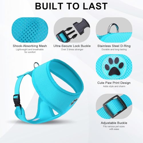 Small Dog Harness (S (NECK: 12", CHEST: 14"-18") / Royal Blue)