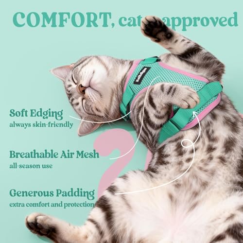 Cat Harness and Leash