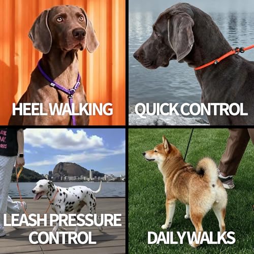 Dog Anti Slip Leash 5FT with Metal Stopper (Gray / 5 FT)