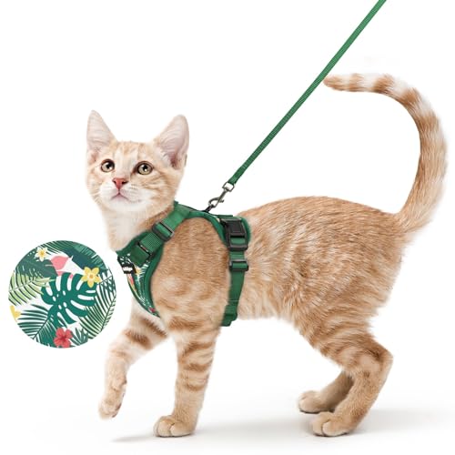 Cat Harness and Leash Set (S / Rainforest Green)