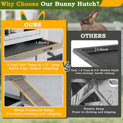 93"L Double Rabbit Hutch with Dual Runs (93.0"L x 22.1"W x 35.0"H)
