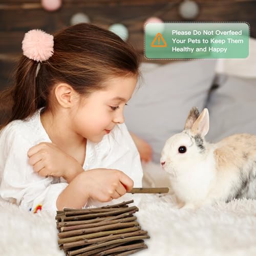 1 LB (16oz) Natural Apple Wood Chew Sticks for Rabbits, Hamsters, Chinchillas - Extra Hard Teeth Grinding Toy | Untreated, Safe & Long-Lasting Rodent Chews