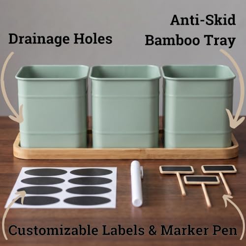 Herb Planter Indoor (Sage Green)