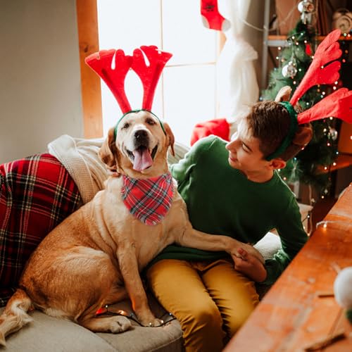 Dog Christmas Bandana with Tassels Edges (X-Large / Christmas)