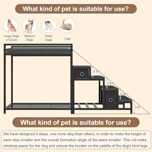 Pet Bunk Bed with Removable Stairs and 2 Drawers (Black)