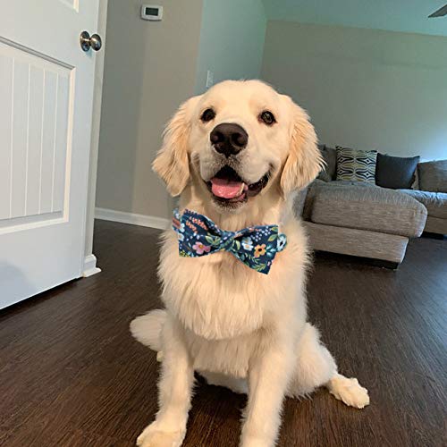 Dog Collar with Bow (Dark Blue Flower / X-Small (Pack of 1))