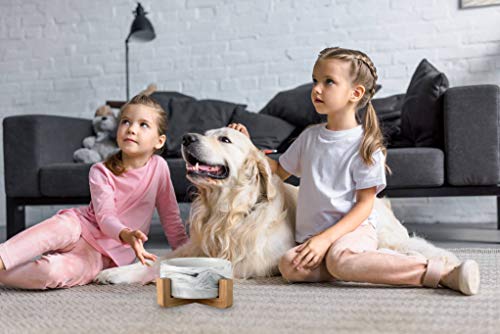 Ceramic Pet Bowls with Stand (1 pack)