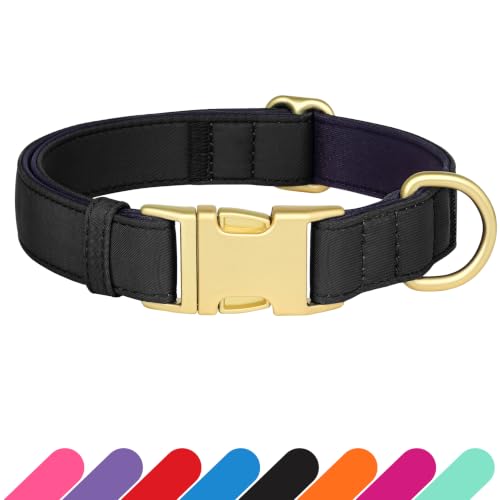 Soft Padded Dog Collar for Large Dogs (Black / L：Fit 16-22" Neck, Width 1")