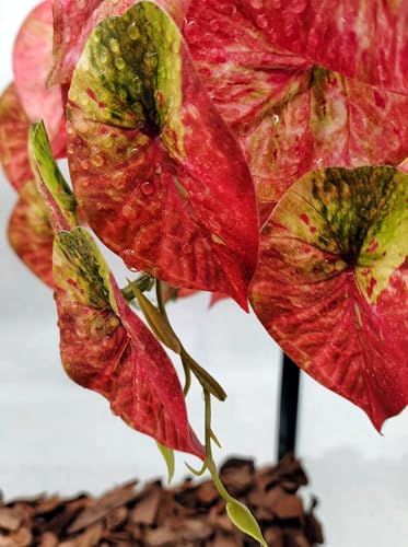 Fake Reptile Plants for Terrarium (Red Arrowhead)