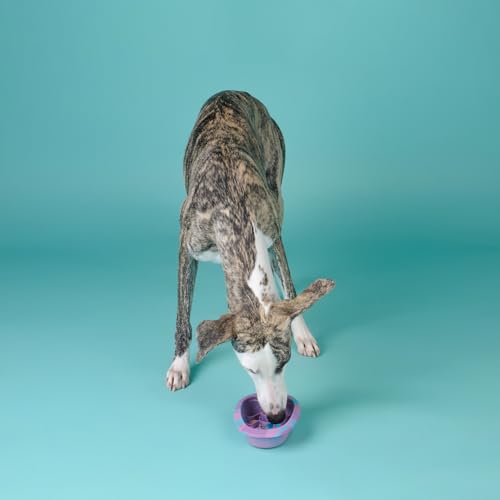 Dog & Cat Lick Mat Bowl with Suction Cups (Rainbow / Small)
