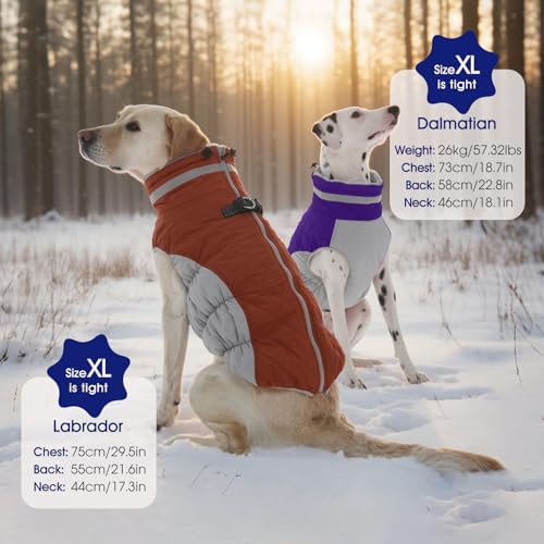 Dog Coat for Medium Dogs (Purple / M(chest:21in))