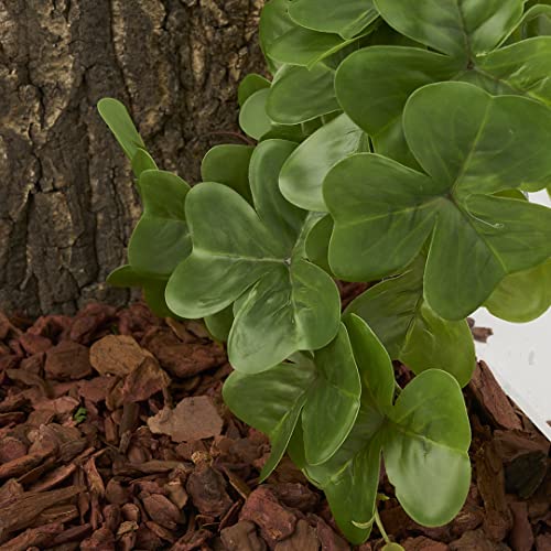 Fake Shamrock (Fake Shamrock)