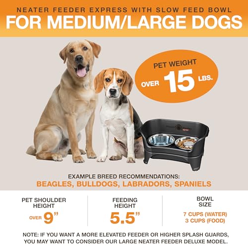Express Model w (Medium to Large w/ Metal Slow Feed Bowl / Midnight Black)