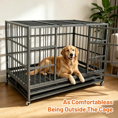 47 Inch Heavy Duty Dog Crate (47.0"L x 30.0"W x 35.0"H)