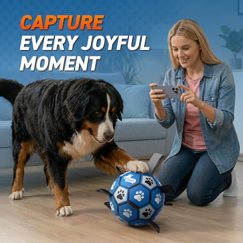 Extra Large Dog Toy Soccer Ball (Blue Gray / Extra Large Size 5 (9 Inch))