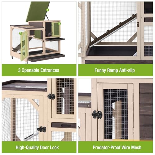 2 Story Rabbit Hutch with Chew