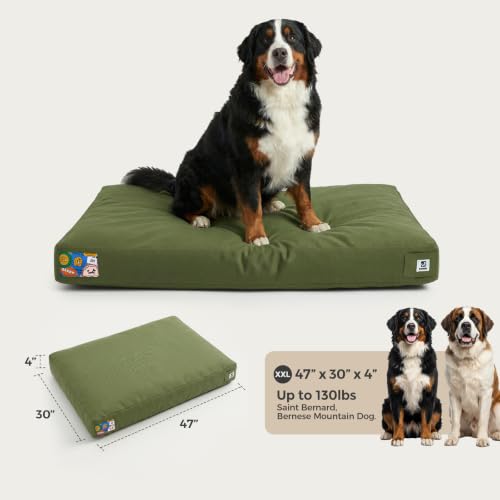 47 Inch Indestructible Dog Bed for Aggressive Chewers (Green / XX-Large)