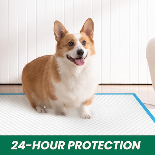 100 Count Large Dog & Cat Puppy Pee Pads (30" x 28" (100 Count))
