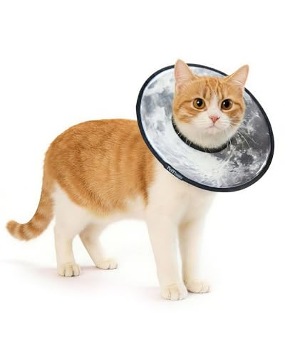 Soft Cat Cone Collar (Silent Moonlight / S)