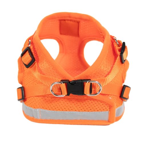 Travel Cat Harness and Leash Set (Large / Orange)