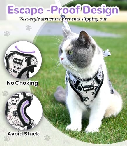 Cat Harness and Leash Set (H604 Pro Moonlight Meow / X-Small (4-6lb))