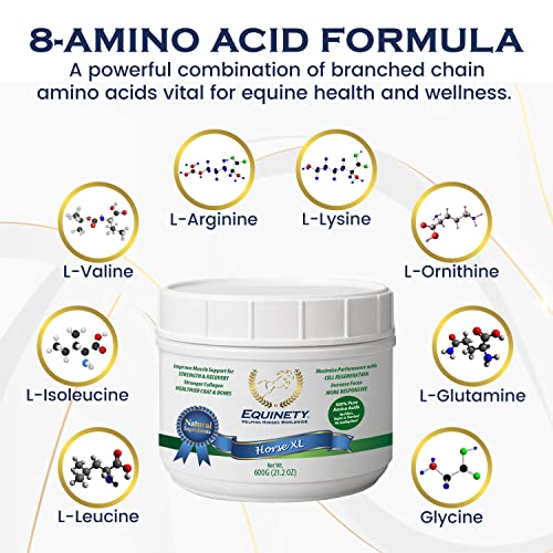100 Day Supply Equinety Horse XL Powder Horse Supplement with Amino Acids (Horse XL)