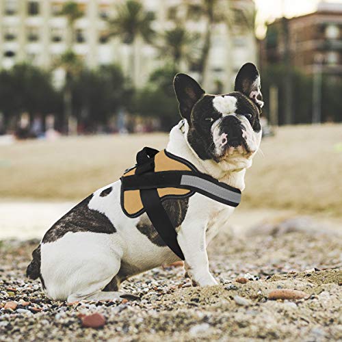 Dog Harness No (X-Small (Pack of 1) / Army yellow)