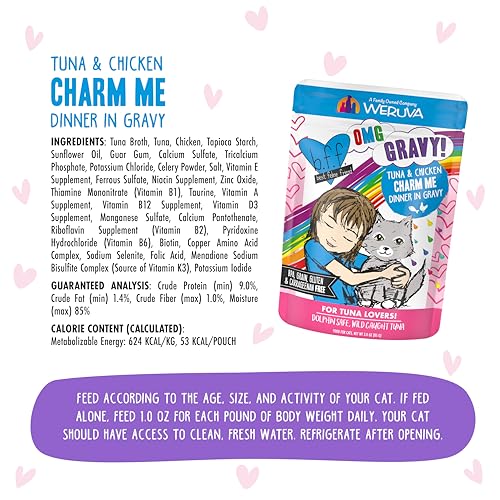 B.F.F. OMG Best Feline Friend Oh My Gravy! Tuna & Chicken Charm Me with Tuna & Chicken in Gravy Cat Food (3 Ounce (Pack of 12))